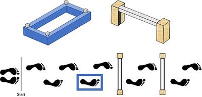 Children With Developmental Coordination Disorder Exhibit Greater Stepping Error Despite Similar Gaze Patterns and State Anxiety Levels to Their Typically Developing Peers